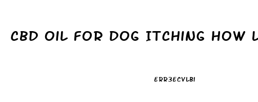 Cbd Oil For Dog Itching How Long Does It Take To Work