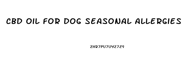 Cbd Oil For Dog Seasonal Allergies