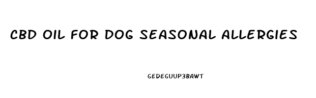 Cbd Oil For Dog Seasonal Allergies