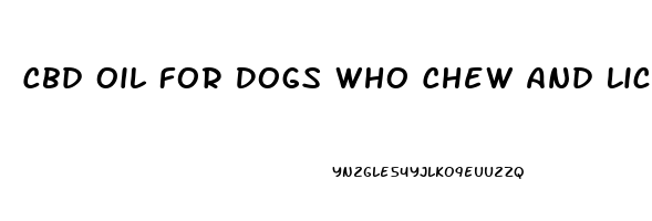 Cbd Oil For Dogs Who Chew And Lick Paws