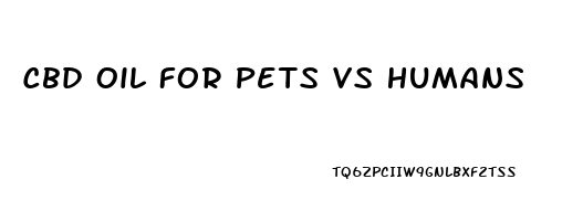 Cbd Oil For Pets Vs Humans