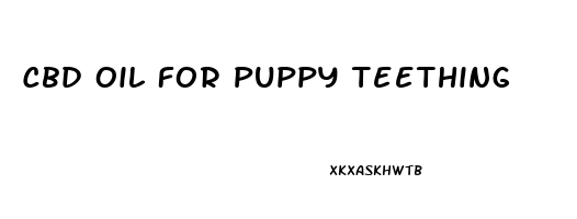 Cbd Oil For Puppy Teething