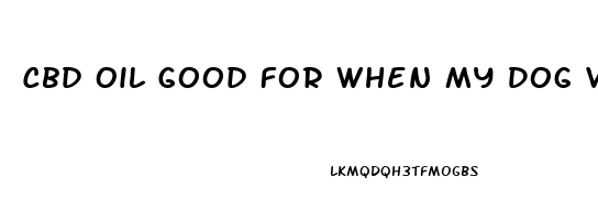 Cbd Oil Good For When My Dog Vomits