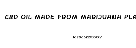 Cbd Oil Made From Marijuana Plant Where Can I Buy