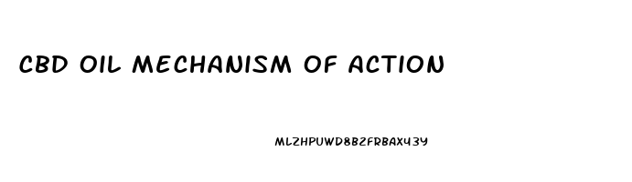 Cbd Oil Mechanism Of Action
