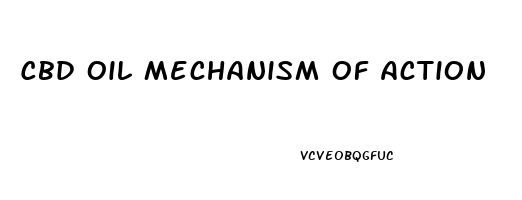 Cbd Oil Mechanism Of Action