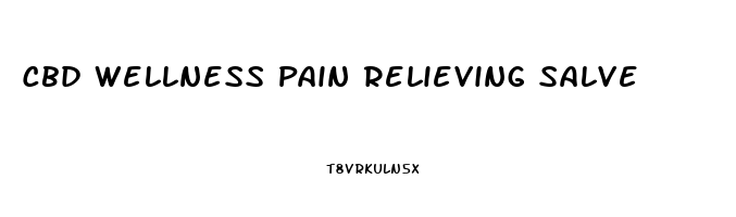 Cbd Wellness Pain Relieving Salve