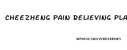 Cheezheng Pain Relieving Plaster