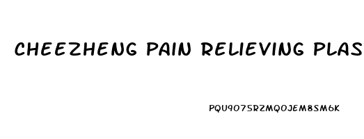 Cheezheng Pain Relieving Plaster