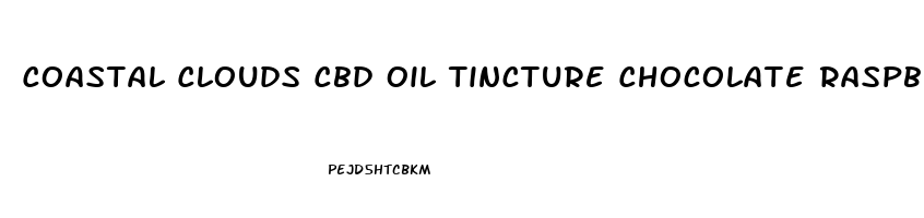 Coastal Clouds Cbd Oil Tincture Chocolate Raspberry Cream