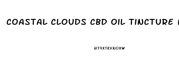 Coastal Clouds Cbd Oil Tincture Fruit Punch