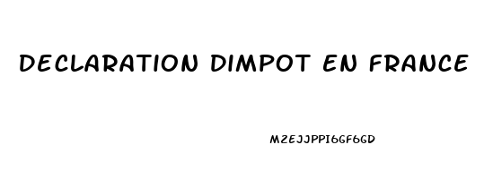 Declaration Dimpot En France