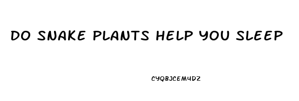 Do Snake Plants Help You Sleep