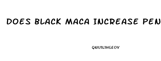 Does Black Maca Increase Penis Size