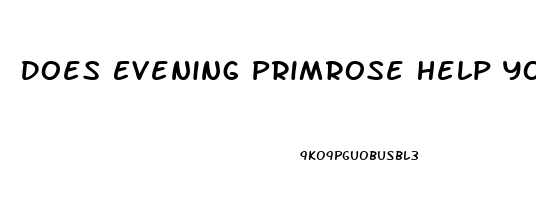 Does Evening Primrose Help You Sleep