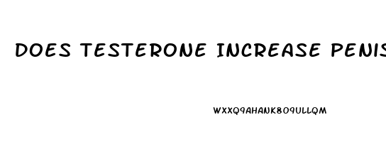 Does Testerone Increase Penis Size