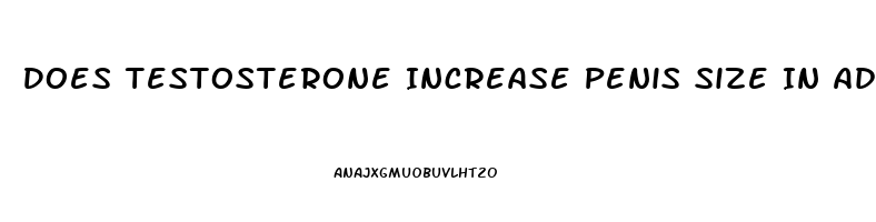 Does Testosterone Increase Penis Size In Adults