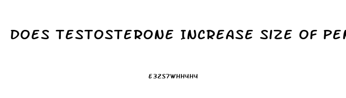 Does Testosterone Increase Size Of Penis