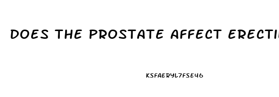 Does The Prostate Affect Erectile Function