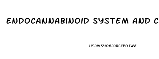 Endocannabinoid System And Cbd Oil