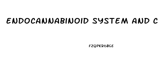 Endocannabinoid System And Cbd Oil
