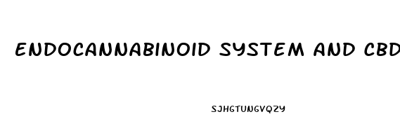 Endocannabinoid System And Cbd Oil
