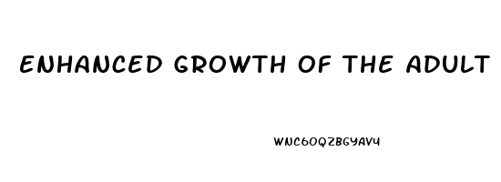 Enhanced Growth Of The Adult Penis With Vitamin D 3