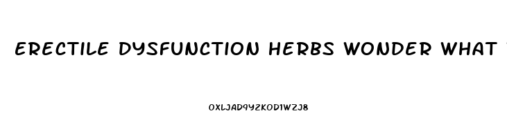 Erectile Dysfunction Herbs Wonder What Works