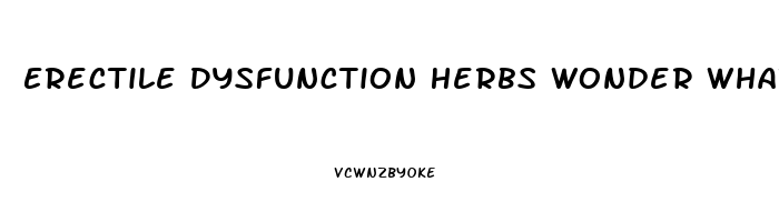 Erectile Dysfunction Herbs Wonder What Works