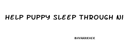 Help Puppy Sleep Through Night