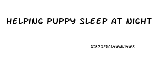 Helping Puppy Sleep At Night