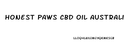 Honest Paws Cbd Oil Australia