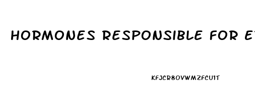Hormones Responsible For Erectile Dysfunction