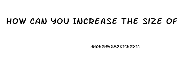 How Can You Increase The Size Of Your Penis