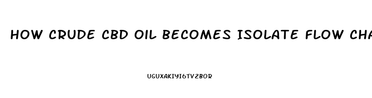 How Crude Cbd Oil Becomes Isolate Flow Chart