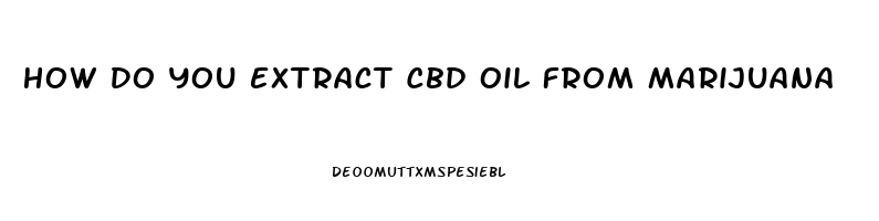 How Do You Extract Cbd Oil From Marijuana