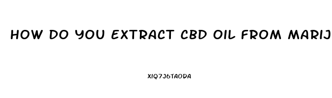 How Do You Extract Cbd Oil From Marijuana