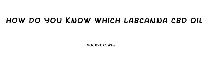 How Do You Know Which Labcanna Cbd Oil Is Right For You