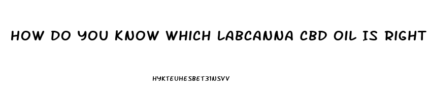 How Do You Know Which Labcanna Cbd Oil Is Right For You