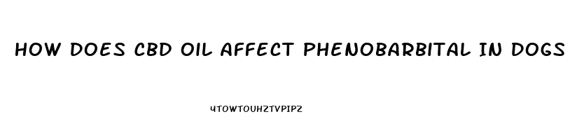 How Does Cbd Oil Affect Phenobarbital In Dogs