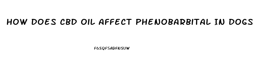 How Does Cbd Oil Affect Phenobarbital In Dogs