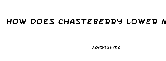 How Does Chasteberry Lower Male Libido