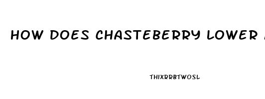 How Does Chasteberry Lower Male Libido