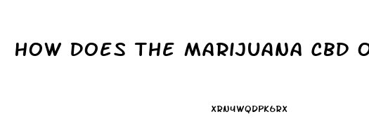 How Does The Marijuana Cbd Oil 9thc Interact With Xanax