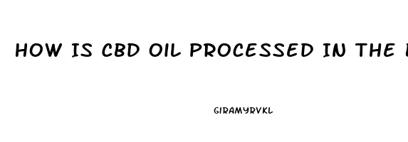 How Is Cbd Oil Processed In The Body