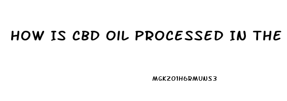 How Is Cbd Oil Processed In The Body