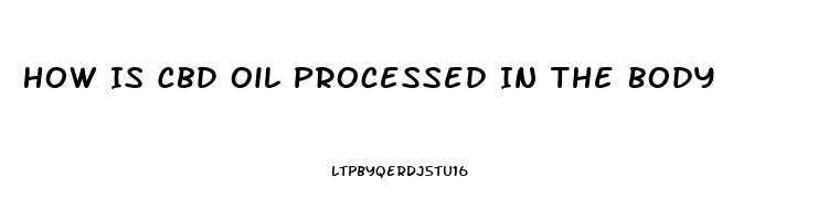 How Is Cbd Oil Processed In The Body