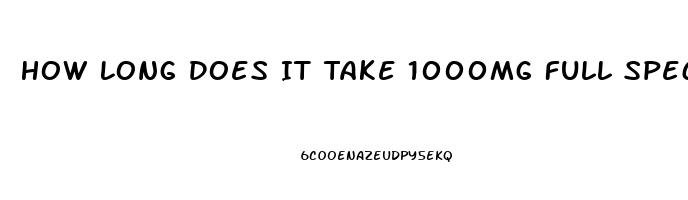 How Long Does It Take 1000mg Full Spectrum Cbd Oil To Work