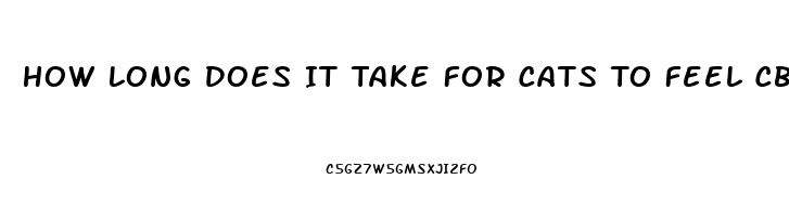 How Long Does It Take For Cats To Feel Cbd Oil Effects