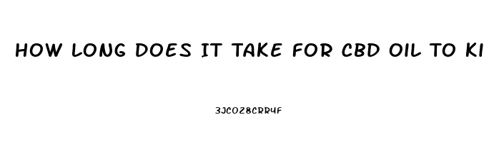 How Long Does It Take For Cbd Oil To Kick In